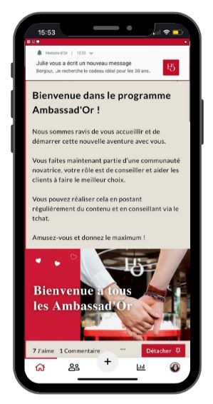Bienvenue chez Les Ambassad'Or Popsell et Histoire d'Or - cas client
